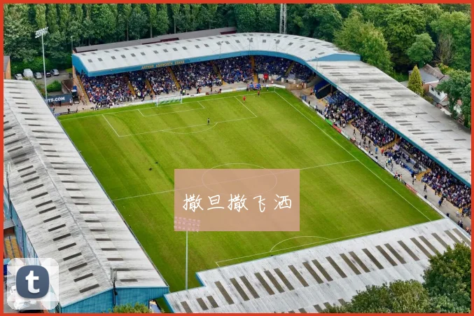 张雨霏揭秘国家队冬季室内游泳训练：水温调节与热身防护的五个关键要点